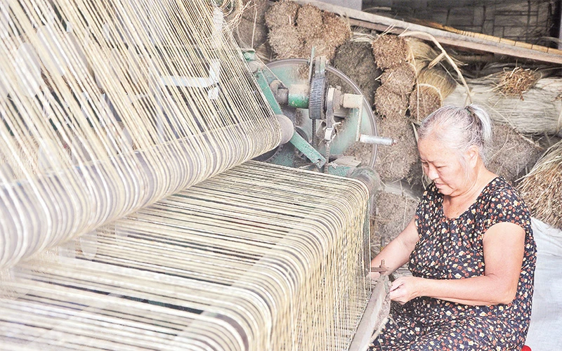 Bà Phạm Thị Kim Ðào đan chiếu bằng máy ở làng chiếu truyền thống thuộc xã Long Ðịnh, huyện Châu Thành. 