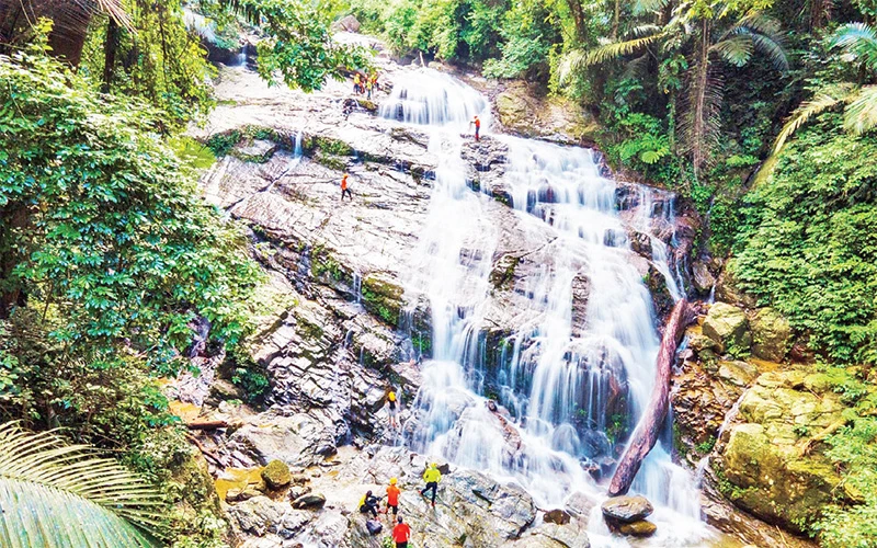 Ở Khu dự trữ thiên nhiên Ðộng Châu-Khe Nước Trong, thác Dương Cầm cao hơn 50m, nghiêng khoảng 70 độ, nước chảy tràn trắng xóa.