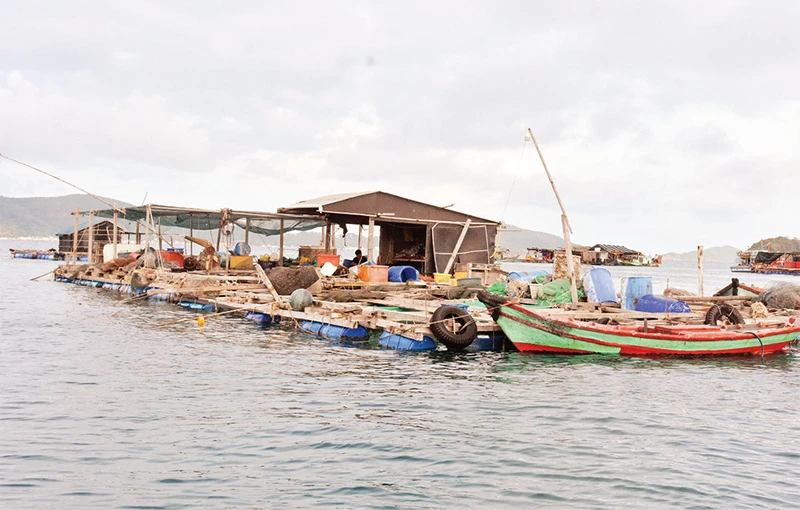 Nuôi cá bằng lồng bè ở xã Nam Du, huyện Kiên Hải.