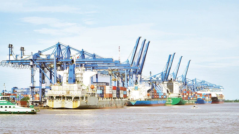 Bốc dỡ container ở cảng Cát Lái. 