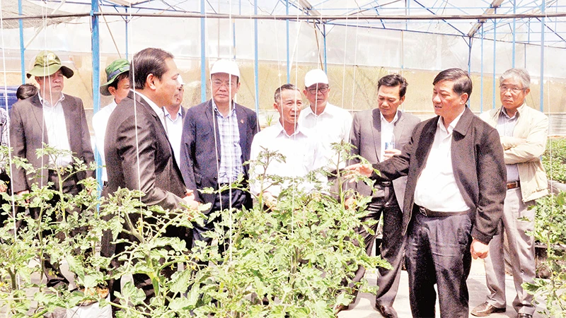 Lãnh đạo tỉnh Lâm Ðồng thăm nông trại của Hợp tác xã Dịch vụ nông nghiệp tổng hợp Sunfood Ðà Lạt. 