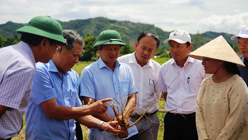 Ðồng chí Bí thư Tỉnh ủy Lê Trường Lưu (thứ ba từ trái sang) kiểm tra mô hình đầu tư giảm nghèo tại huyện miền núi A Lưới. 