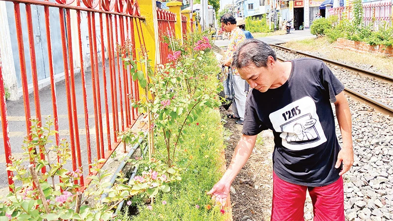 Người dân Khu phố 2, Phường 11, quận Phú Nhuận chăm sóc cây cảnh, thu gom rác góp phần làm sạch đẹp tuyến đường sắt nội đô. 