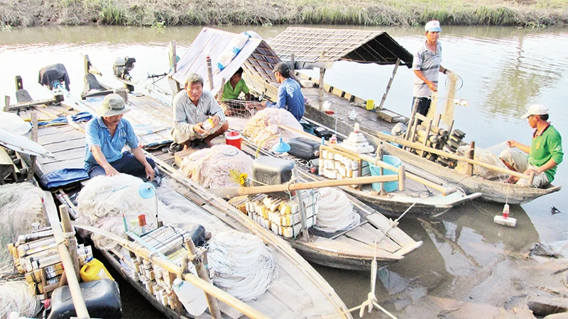 Ngư dân ấp Vàm Nao nhớ những mùa cá bông lau xưa. 