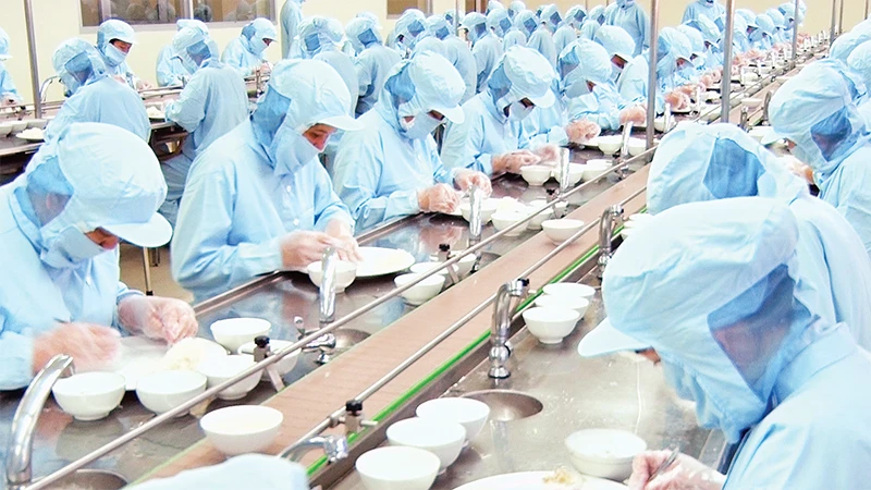Công nhân chế biến nguyên liệu tổ yến ở Công ty Yến sào Khánh Hòa. 