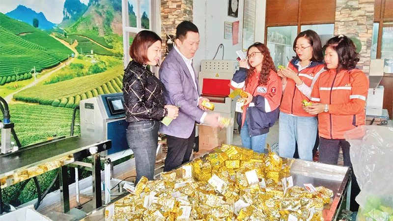 Sản phẩm chè của Hợp tác xã Nhật Thức ở huyện Ðại Từ được Công ty Núi Pháo hỗ trợ quảng bá sản phẩm, đưa vào tiêu thụ tại nhiều siêu thị của Masan. 