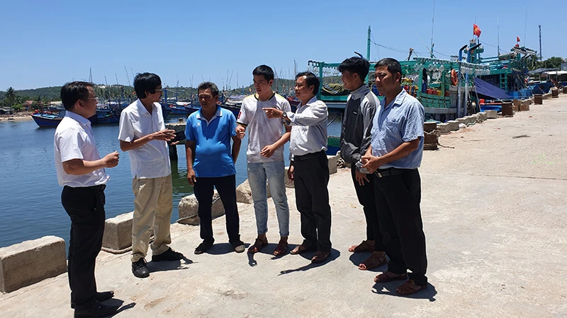 Các cấp ủy ở Hoài Nhơn (Bình Ðịnh) thường xuyên gặp gỡ, trao đổi với ngư dân, thúc đẩy hiệu quả chủ trương tạo nguồn, bồi dưỡng và kết nạp ngư dân vào Ðảng. 