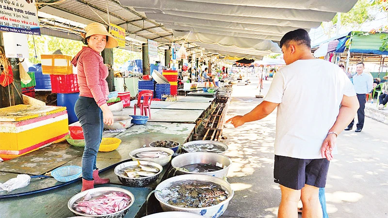 Chợ hải sản Hồ Tràm đã được chỉnh trang sạch đẹp, bán đúng giá niêm yết được nhiều du khách tới tham quan và mua hàng. 