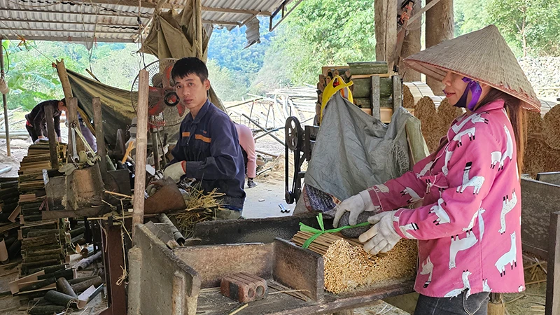 Chế biến luồng tạo việc làm, thu nhập cho người dân ở vùng thượng du Thanh Hóa. 