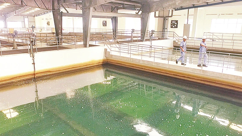 Khu vực xử lý nước thô tại Nhà máy nước Tân Hiệp (huyện Hóc Môn). 