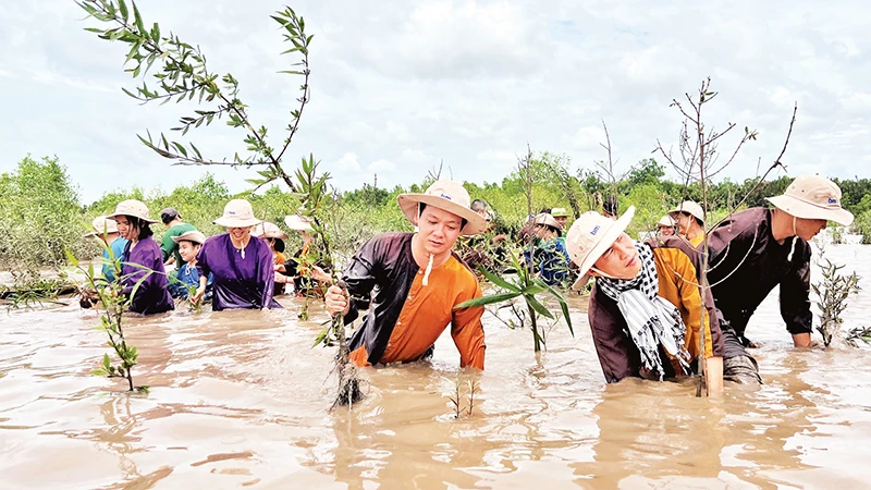 Khách du lịch trải nghiệm trồng rừng tại sông Ba Lai (xã Tân Mỹ, huyện Ba Tri, tỉnh Bến Tre). 