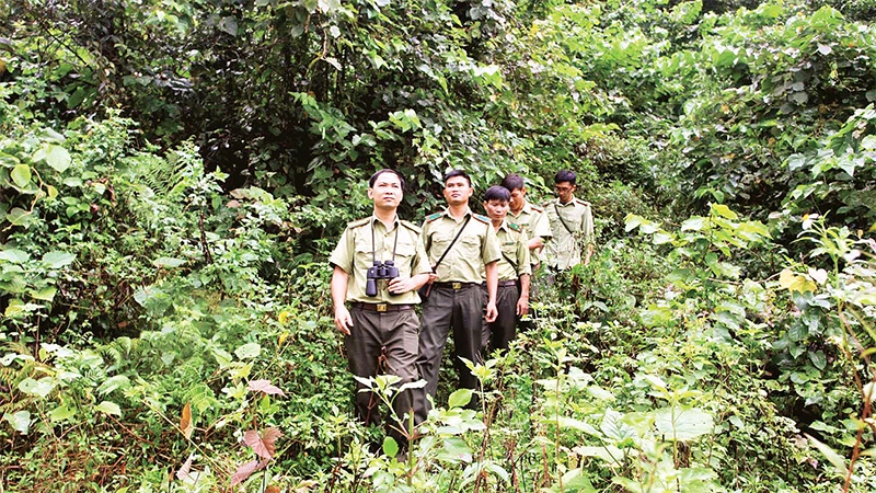 Lực lượng kiểm lâm tuần tra Khu bảo tồn thiên nhiên Kim Hỷ, huyện Na Rì, tỉnh Bắc Kạn. (Ảnh THU CÚC) 