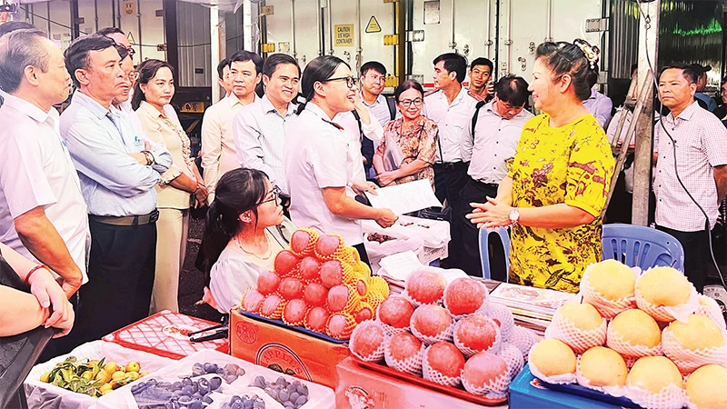 Ðoàn giám sát Ban Văn hóa-Xã hội, HÐND Thành phố Hồ Chí Minh giám sát vệ sinh an toàn thực phẩm tại chợ nông sản (thành phố Thủ Ðức) đêm 16/8/2024. 