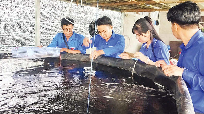 Anh Chau Kim Sêng (thứ hai từ trái qua) có thu nhập cao từ nghề nuôi cá, trồng rau thủy canh. 