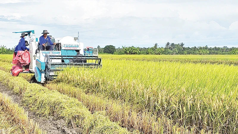 Cơ giới hóa trong sản xuất nông nghiệp tại vùng đồng bào dân tộc thiểu số ở Sóc Trăng. 