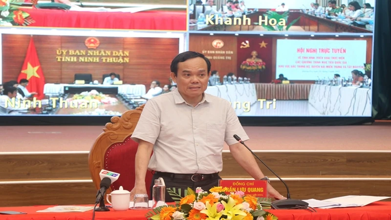 Phó Thủ tướng Chính phủ Trần Lưu Quang phát biểu tại hội nghị.
