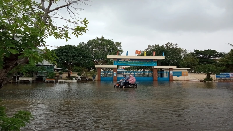 Một số địa phương trên địa bàn tỉnh Bình Định đã bị ngập sâu do mưa lũ.