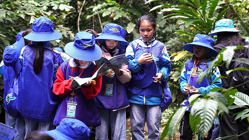 Các thành viên "nhí" của Hành trình tìm hiểu các loài cây trong Vườn quốc gia Cúc Phương.