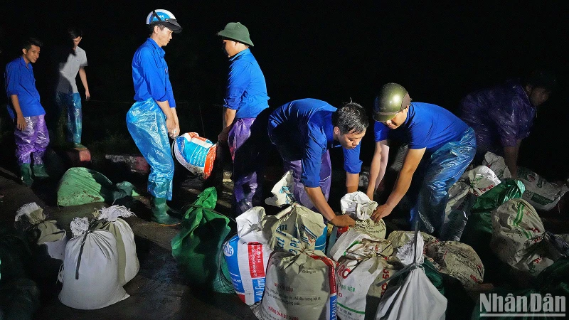 Đoàn viên, thanh niên tình nguyện Thủ đô xung kích chống ngập lụt do ảnh hưởng của cơn bão số 3 tại huyện Thường Tín (Hà Nội).