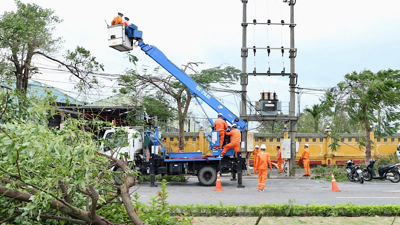 Các công nhân ngành điện Hải Phòng khẩn trương khôi phục lưới điện sau bão số 3.