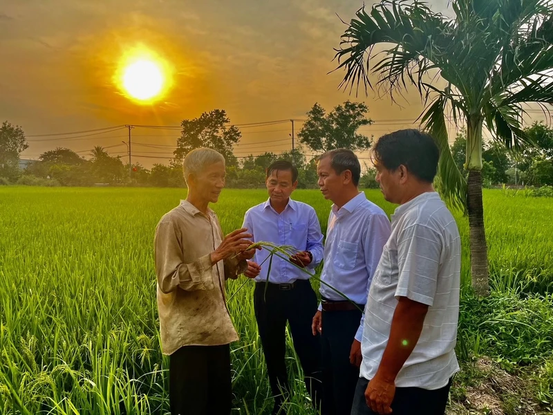 Ông Trương Văn Ơn (bên trái) tự hào nói về mô hình trồng lúa đang được triển khai trên quê hương.