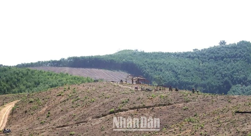 Trên địa bàn tỉnh Đắk Lắk sẽ có 169,43 ha rừng được chuyển đổi sang mục khách khác để thực hiện Dự án đầu tư xây dựng đường bộ cao tốc Khánh Hòa-Buôn Ma Thuột giai đoạn I.