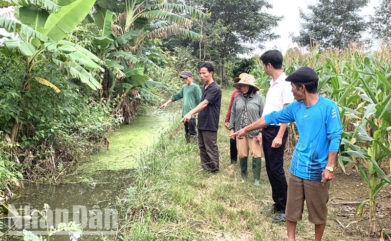 Thời tiết ở Đắk Lắk đang trong giai đoạn mùa mưa, có nhiều vũng nước đọng và nhiệt độ, độ ẩm thích hợp cho muỗi sinh trưởng, phát triển khiến bệnh viêm não Nhật Bản có nguy cơ bùng phát và lây lan trong cộng đồng.