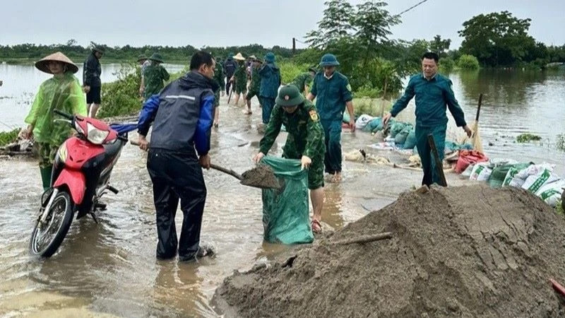 Lực lượng chức năng huyện Chương Mỹ khắc phục sự cố tràn đê. 