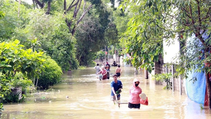 Nhiều khu vực tại huyện Chương Mỹ bị ngập úng trong những ngày qua.