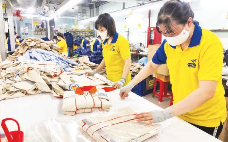 Đóng gói sản phẩm may mặc tại Công ty cổ phần quốc tế Dony (huyện Bình Chánh, Thành phố Hồ Chí Minh).
