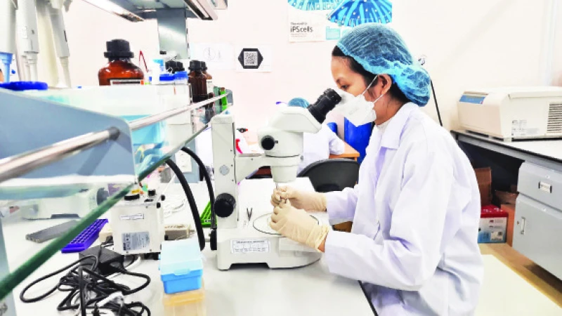 Hoạt động nghiên cứu khoa học tại Trường đại học Quốc tế (Đại học Quốc gia Thành phố Hồ Chí Minh).