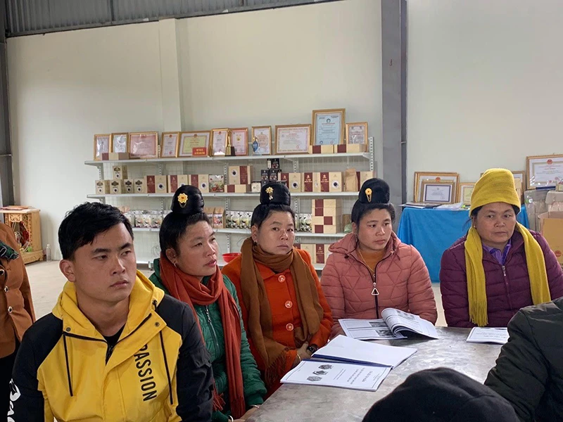 Người dân xã Hua La, thành phố Sơn La được tập huấn cách trồng cà-phê chất lượng cao.