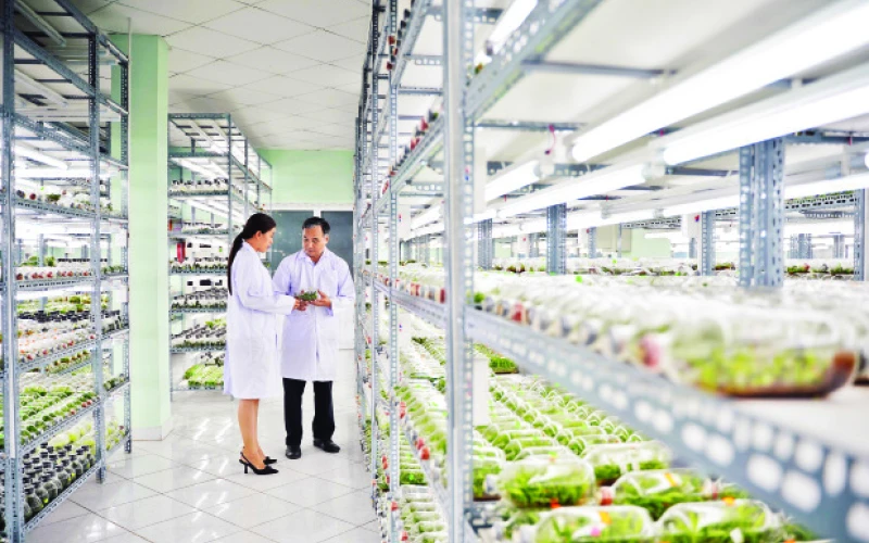 Thành phố Hồ Chí Minh hướng đến nền nông nghiệp hiện đại 