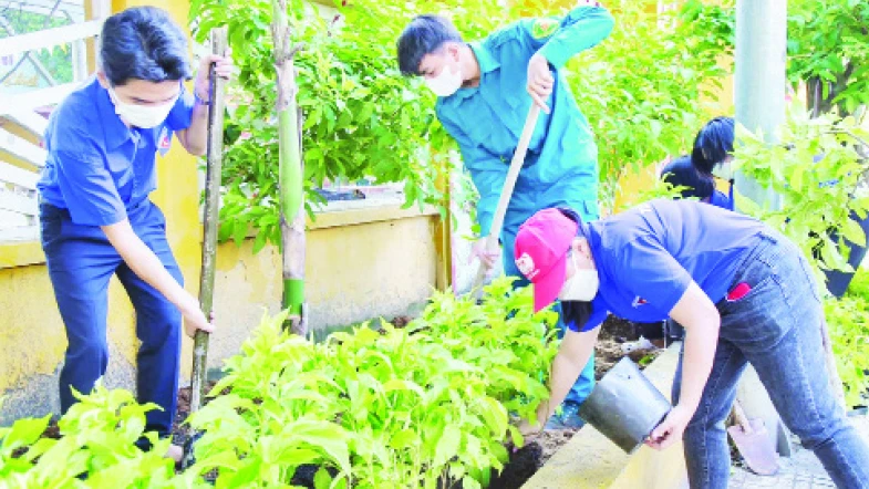 Đoàn viên, thanh niên thành phố Thuận An ra quân ngày Chủ nhật xanh nhằm giúp môi trường xanh-sạch-đẹp. 