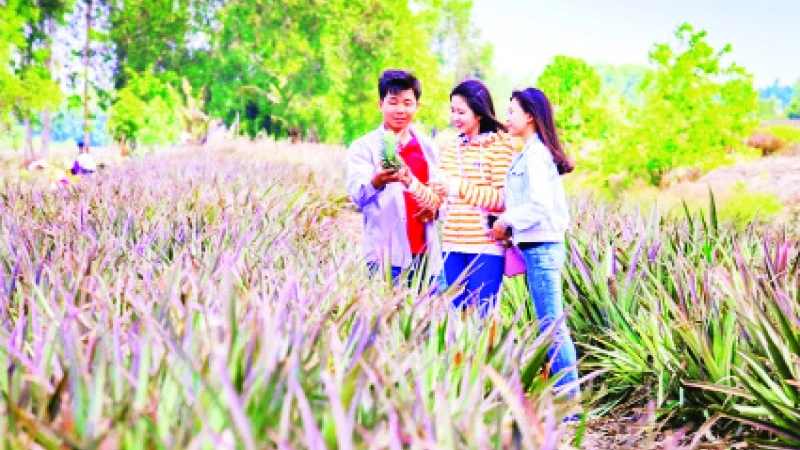 Trải nghiệm du lịch cộng đồng vùng khóm Cầu Đúc, xã Hỏa Tiến, TP Vị Thanh. (Ảnh HIỀN THANH)