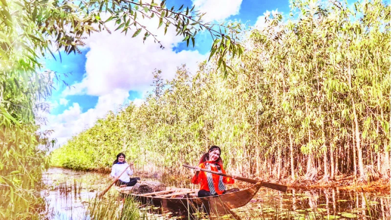 Tiềm năng to lớn về rừng tràm giúp U Minh phát triển mạnh về du lịch sinh thái, du lịch trải nghiệm, du lịch cộng đồng. (Ảnh Huỳnh Lâm)