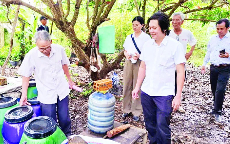 Các chuyên gia tham quan hộ nông dân trồng nhãn huyện Châu Thành áp dụng mô hình IMO.