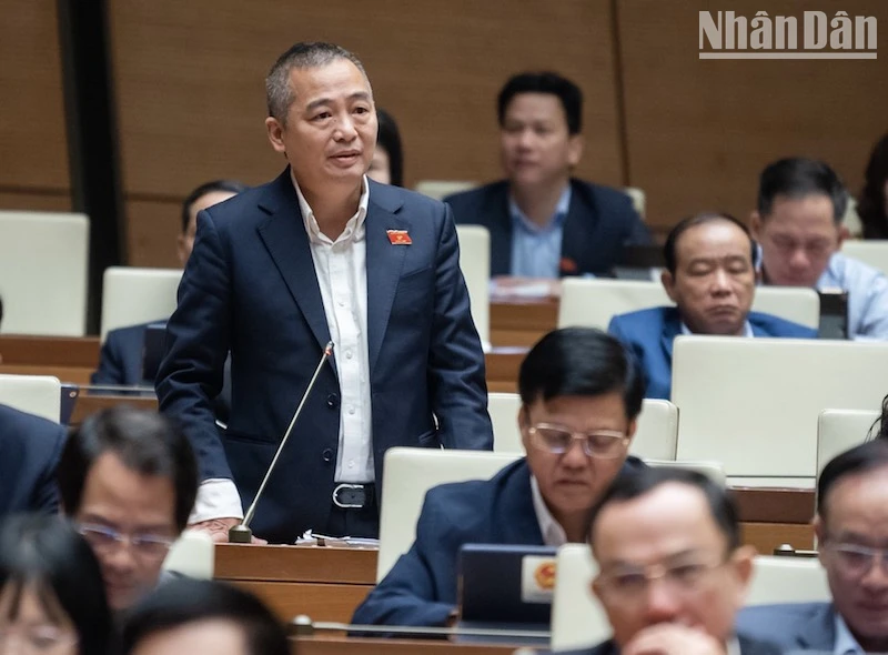 Đại biểu Quốc hội Nguyễn Lân Hiếu. (Ảnh: Anh Khoa)
