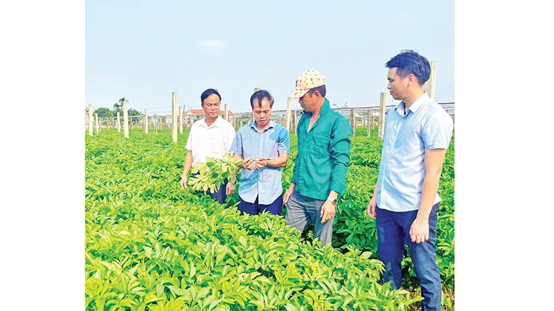  Từ nông thôn mới đến đô thị di sản
