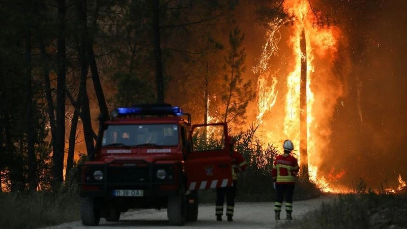 Lính cứu hỏa quan sát một đám cháy rừng ở khu vực Ourem, Bồ Đào Nha, hôm 12/7. (Ảnh: Reuters)