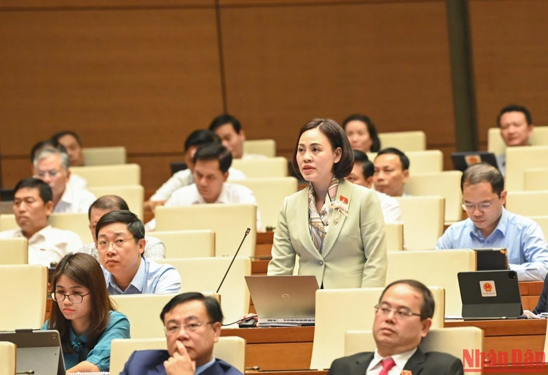 Đại biểu Quốc hội Trần Thị Hồng Thanh (đoàn Ninh Bình) phát biểu ý kiến tại hội trường chiều 28/10. (Ảnh: DUY LINH)