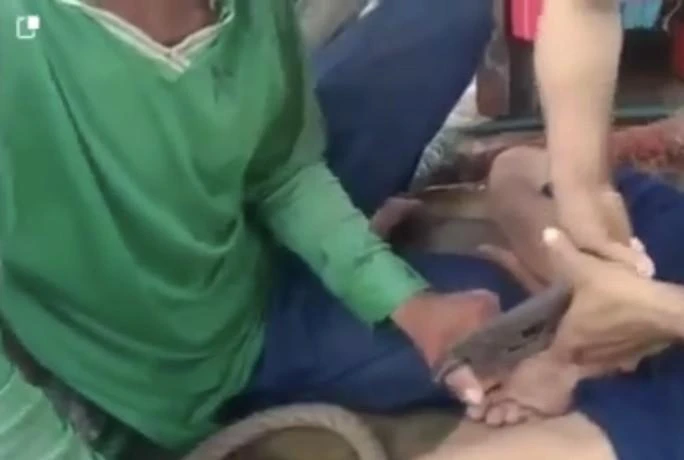 Hình ảnh cắt từ clip trên mạng xã hội về 2 ngư dân trên tàu cá ở Cà Mau bị người làm chung trên tàu hành hạ.