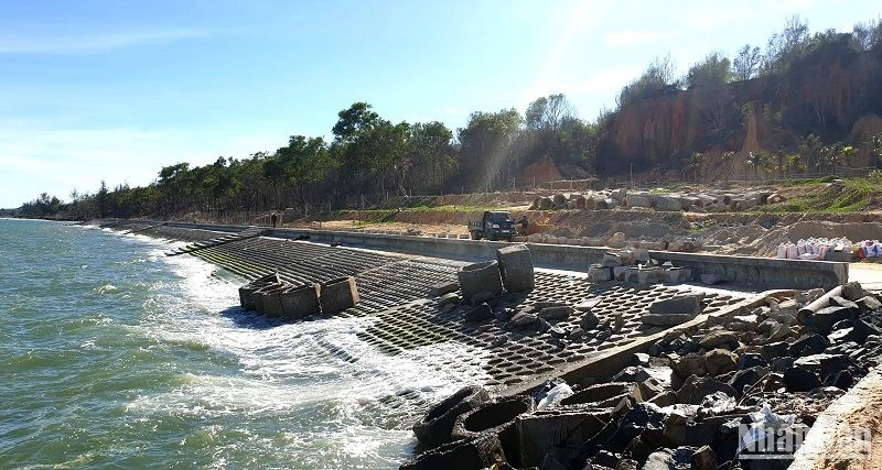 Kè chống sạt lở bờ biển khu phố 5 phường Đức Long và thôn Tiến Đức, xã Tiến Thành, thành phố Phan Thiết có chiều dài 350m. (Ảnh: ĐÌNH CHÂU)