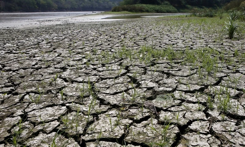El Nino khiến các hiện tượng thời tiết cực đoan trở nên trầm trọng hơn. (Ảnh minh họa: Reuters)