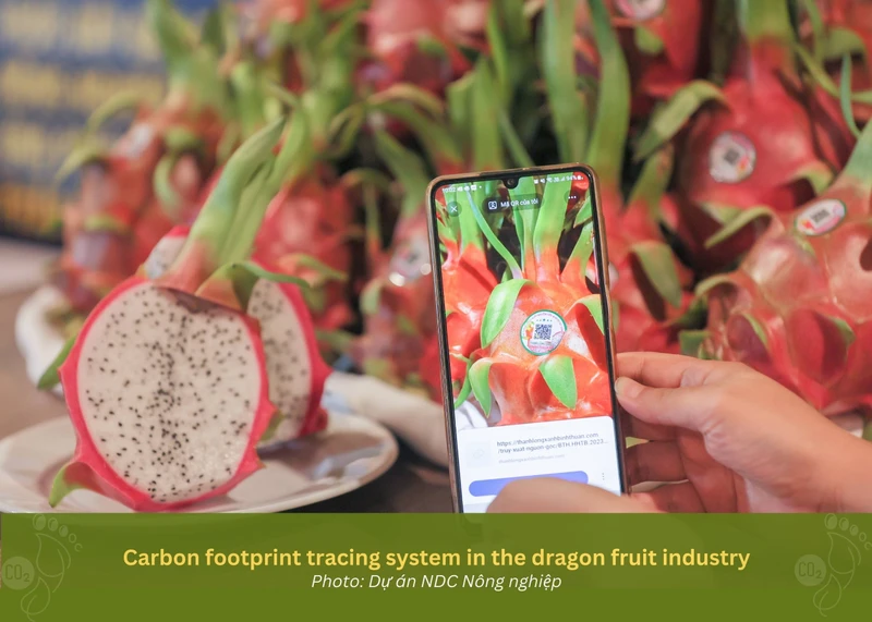 Hệ thống truy xuất "dấu chân carbon" trong ngành hàng thanh long.