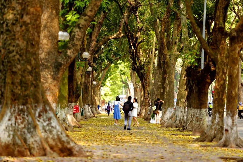 Nét đẹp thu Hà Nội là một trong những yếu tố thu hút khách du lịch.