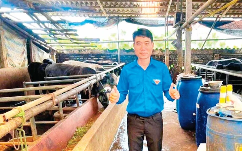 Bùi Văn Phúc trong trang trại chăn nuôi bò 3B do anh gây dựng nên. 