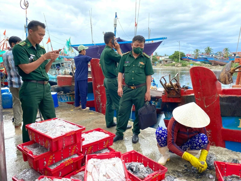 Lực lượng Bộ đội Biên phòng thường xuyên kiểm tra việc tuân thủ khai thác IUU. (Ảnh NGUYỄN TRUNG) 