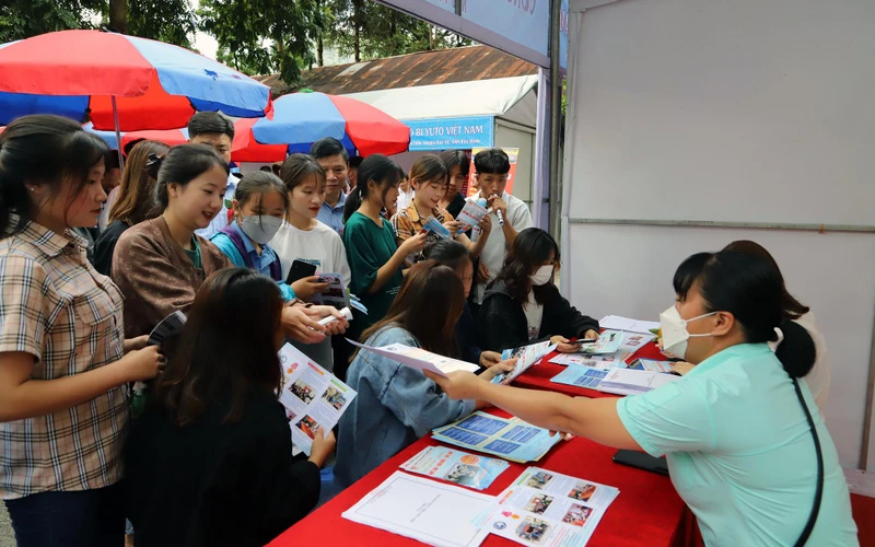 Tư vấn, giới thiệu việc làm cho người lao động. 
