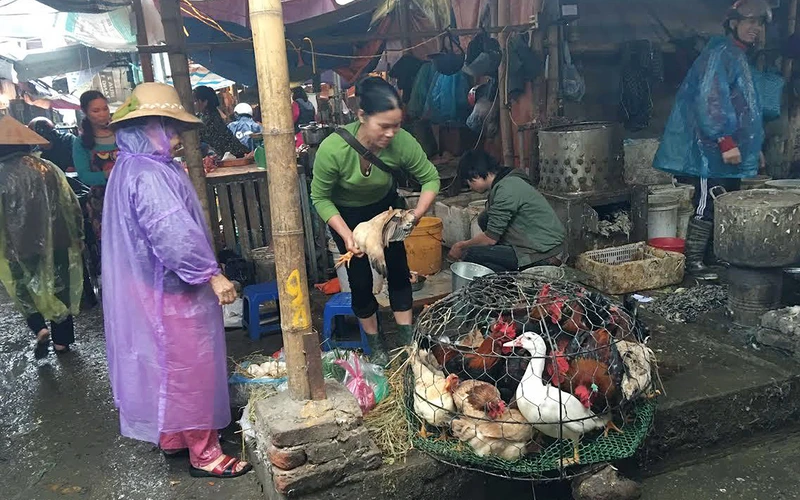 Việc buôn bán giết mổ gia súc, gia cầm nhỏ lẻ không bảo đảm dẫn đến mất vệ sinh an toàn thực phẩm và gây ô nhiễm môi trường. (Ảnh BĂNG DƯƠNG) 